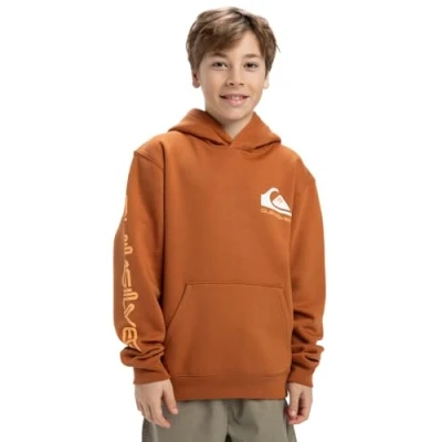 Afbeelding van Quiksilver Omni Logo Hoodie Youth Pullover Jongen (1 stuk)