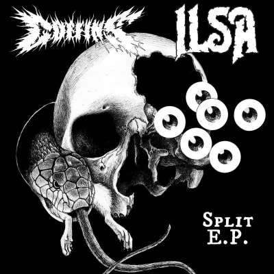 Afbeelding van Split Lp