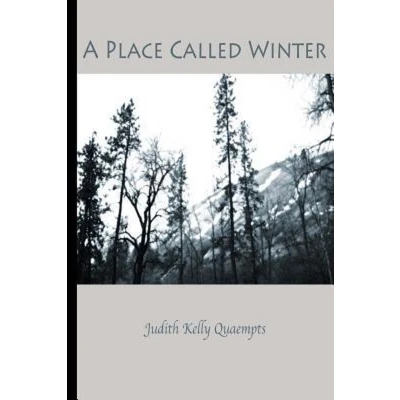 Afbeelding van A Place Called Winter
