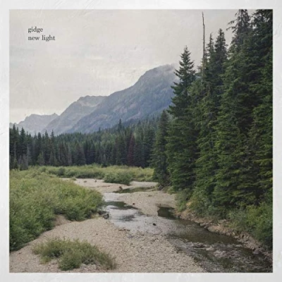 Afbeelding van Gidge New Light (2 LPs)