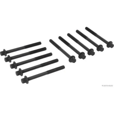Afbeelding van Herth+Buss Jakoparts Cilinderkopboutenset J1281055