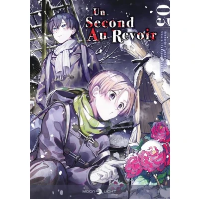 Image de Un second au revoir T03