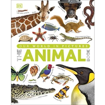Afbeelding van Animal Book