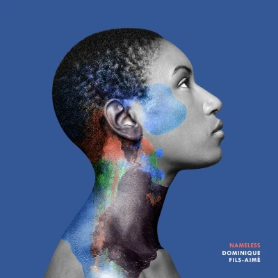 Afbeelding van Dominique Fils Aime Nameless (CD)