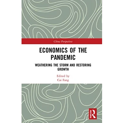 Afbeelding van China Perspectives Economics of the Pandemic