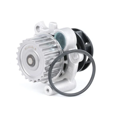 Afbeelding van Ina Waterpomp 538 0038 10