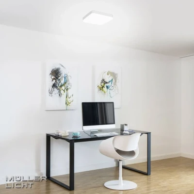 Afbeelding van Müller Licht Wand En Plafondlamp Milex 24w 3000k LEDdirect.nl