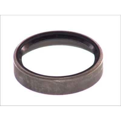 Afbeelding van Elring Wielnaaf keerring 009.360