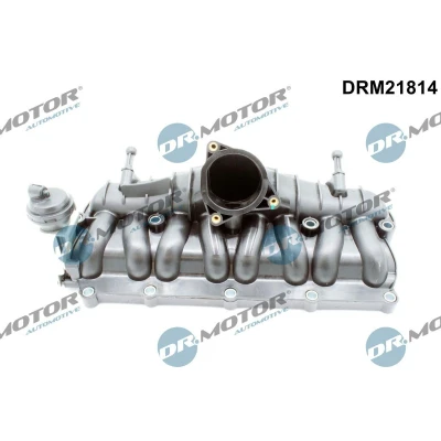 Afbeelding van Zuigbuismodule Dr.Motor Automotive DRM21814