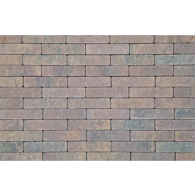 Afbeelding van Waalformaat strak 20x5x6 cm oud bussum komo