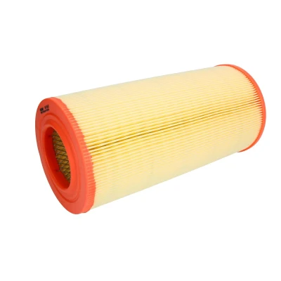 Afbeelding van Filtron Luchtfilter AR 304/2