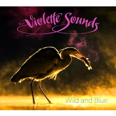 Afbeelding van Violette Sounds Wild And Blue