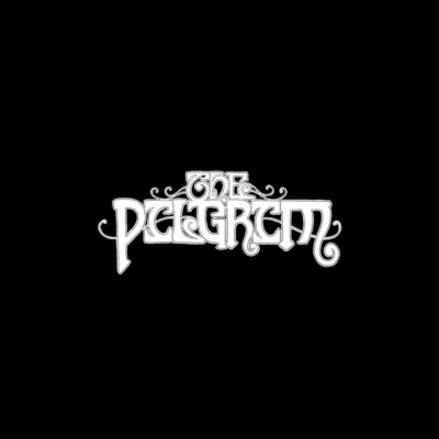 Afbeelding van Pilgrim (LP)