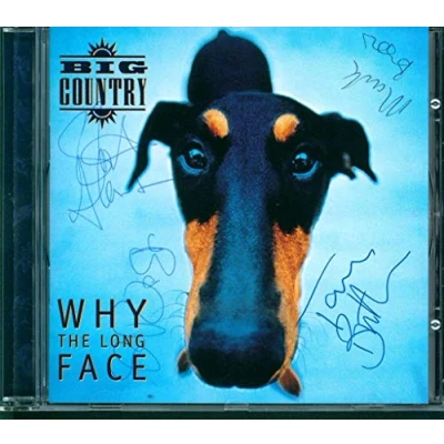 Afbeelding van Why the Long Face