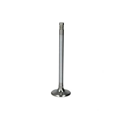 Afbeelding van Inlaatklep FRECCIA R6619/SCR