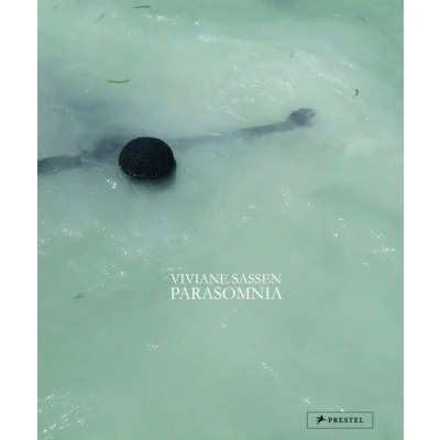 Afbeelding van Viviane Sassen