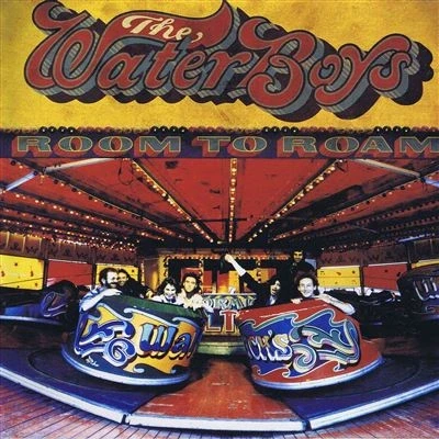 Afbeelding van Waterboys Room To Roam (LP)