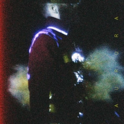 Afbeelding van Ben Frost A U R O (LP)