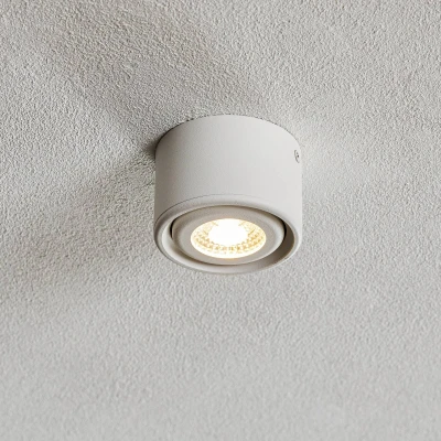 Afbeelding van Kantelbare kop LED downlight Anzio, wit