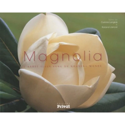 Afbeelding van Magnolia [Original Soundtrack]
