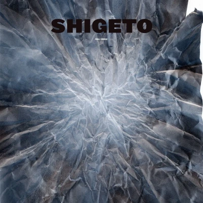 Afbeelding van Shigeto Full Circle (LP)