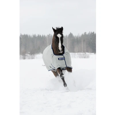 Image de Bucas Power Turnout Extra Classic 300g Argent 120/160