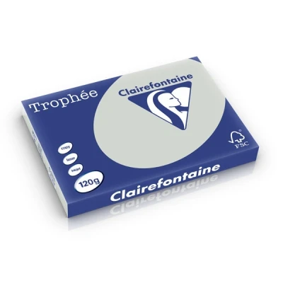 Image de Clairefontaine papier couleur 120 g/m² A3 (250 feuilles) gris acier