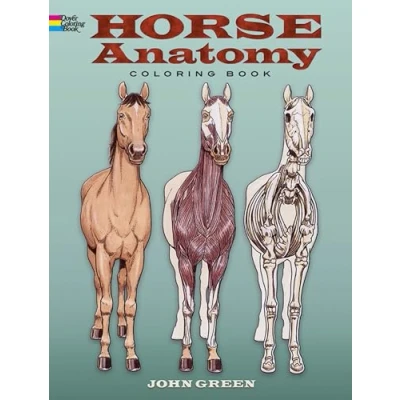 Afbeelding van Horse Anatomy Colouring Book