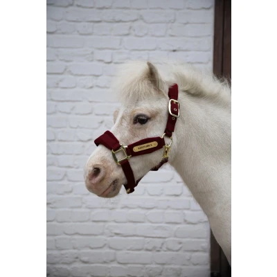 Afbeelding van Velvet halster bordeaux shetland pony