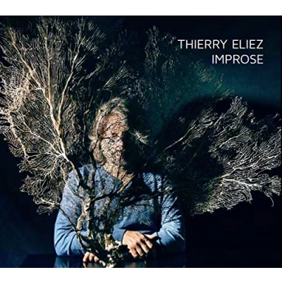 Afbeelding van Thierry Eliez Improse (CD)