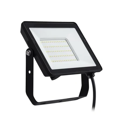 Afbeelding van Philips ProjectLine straler 50W koel wit licht 4000K