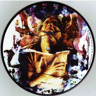 Afbeelding van Swarm Of The Lotus Torrential (7&quot;Vinyl Single) (Picture Disc)