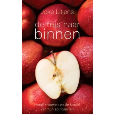 Afbeelding van De reis naar binnen