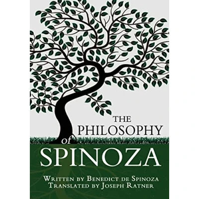 Afbeelding van The Philosophy of Spinoza
