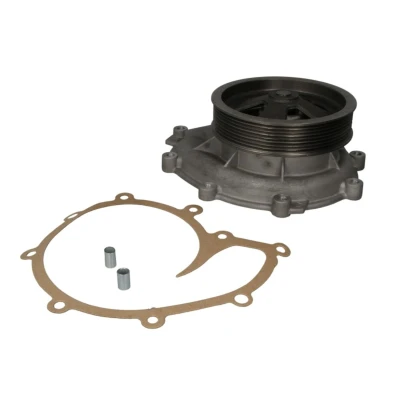 Afbeelding van THERMOTEC WP SC119 Waterpomp Met riemschijf pakking Mechanisch