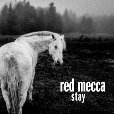 Afbeelding van Red Mecca Stay (2 LPs)