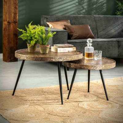 Afbeelding van Hoyz Salontafel Rond Metallic Goudkleurig Set van 2