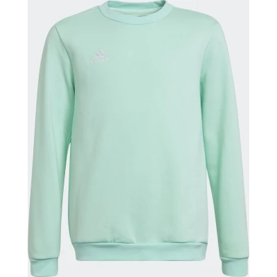 Afbeelding van adidas Performance Entrada 22 Sweatshirt Kinderen Turquoise 140