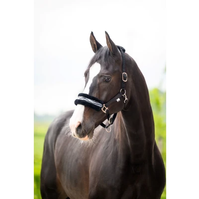 Image de HB Ruitersport Licol Zebra Noir/Blanc