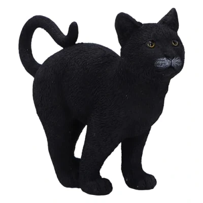 Afbeelding van Nemesis Now Moonlight Watcher 15cm Beeld/figuur Zwart