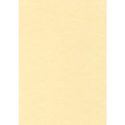 Afbeelding van Decadry structuurpapier champagne, 165 g, pak van 50 vel themapapier