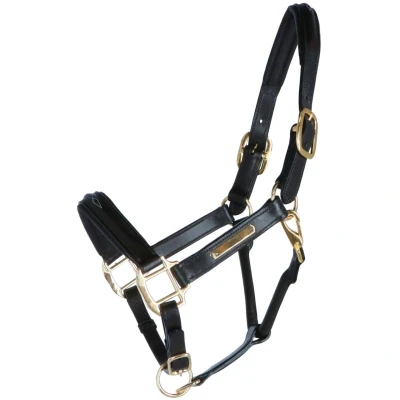 Afbeelding van HB Showtime Halster Horse Name Leer Bruin Cob