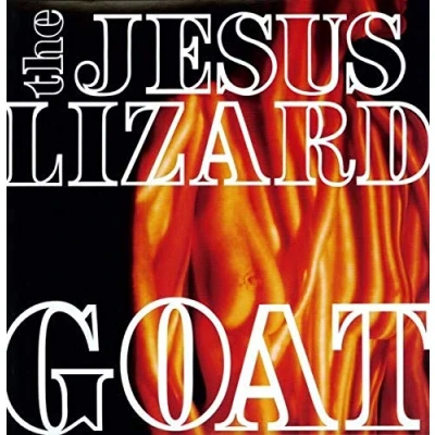 Afbeelding van Jesus Lizard Goat