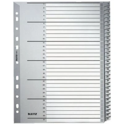 Image de Esselte leitz 12810000 trieur a4 31 onglets en polypropylène (gris)