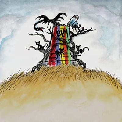 Afbeelding van Drive By Truckers The New Ok (CD)
