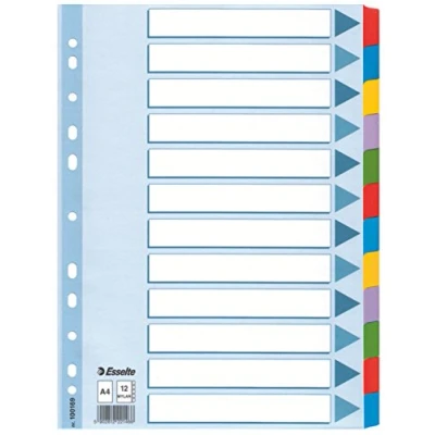Afbeelding van Esselte Register A4, 12 toetsen, blauw/meerkleurig, robuust gerecycled karton, tabbladen met inhoudsopgave, 100169