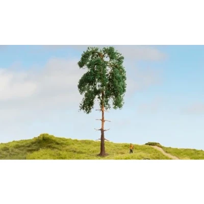 Afbeelding van NOCH 20141 Boom Den 180 mm 1 stuk(s)