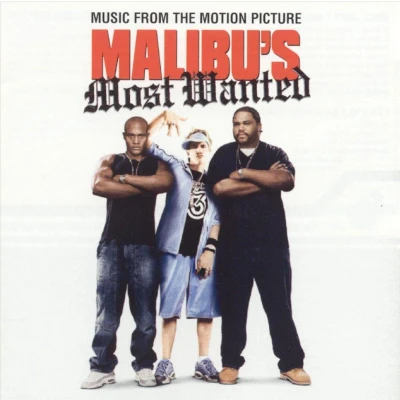 Afbeelding van Malibu S Most Wanted