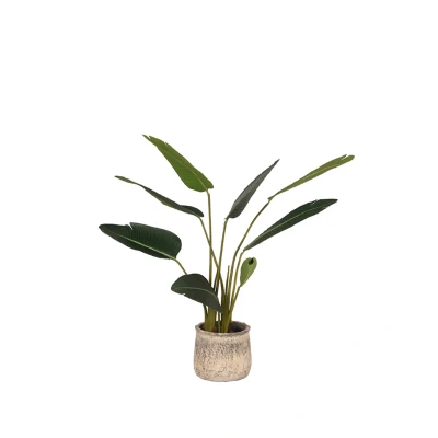 Afbeelding van Strelitzia kunstplant 70x70x100 cm