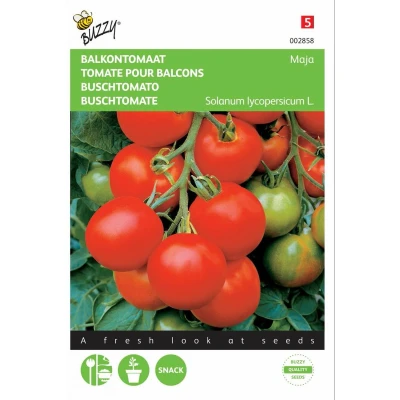 Afbeelding van Tomaten Maja Balkontomaat Buzzy